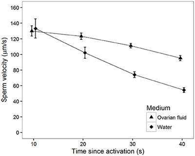 Status Specific Tailoring of Sperm Behavior in an External Fertilizer